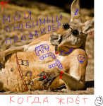 777.PNG