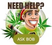 BobCasino